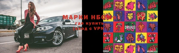 хмурый Аша
