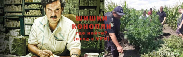 MESCALINE Бородино