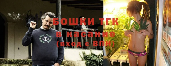 сатива Россошь